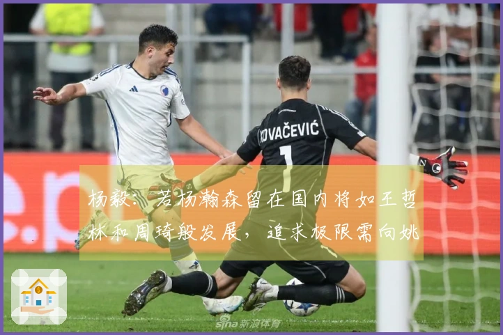 杨毅：若杨瀚森留在国内将如王哲林和周琦般发展，追求极限需向姚明学习